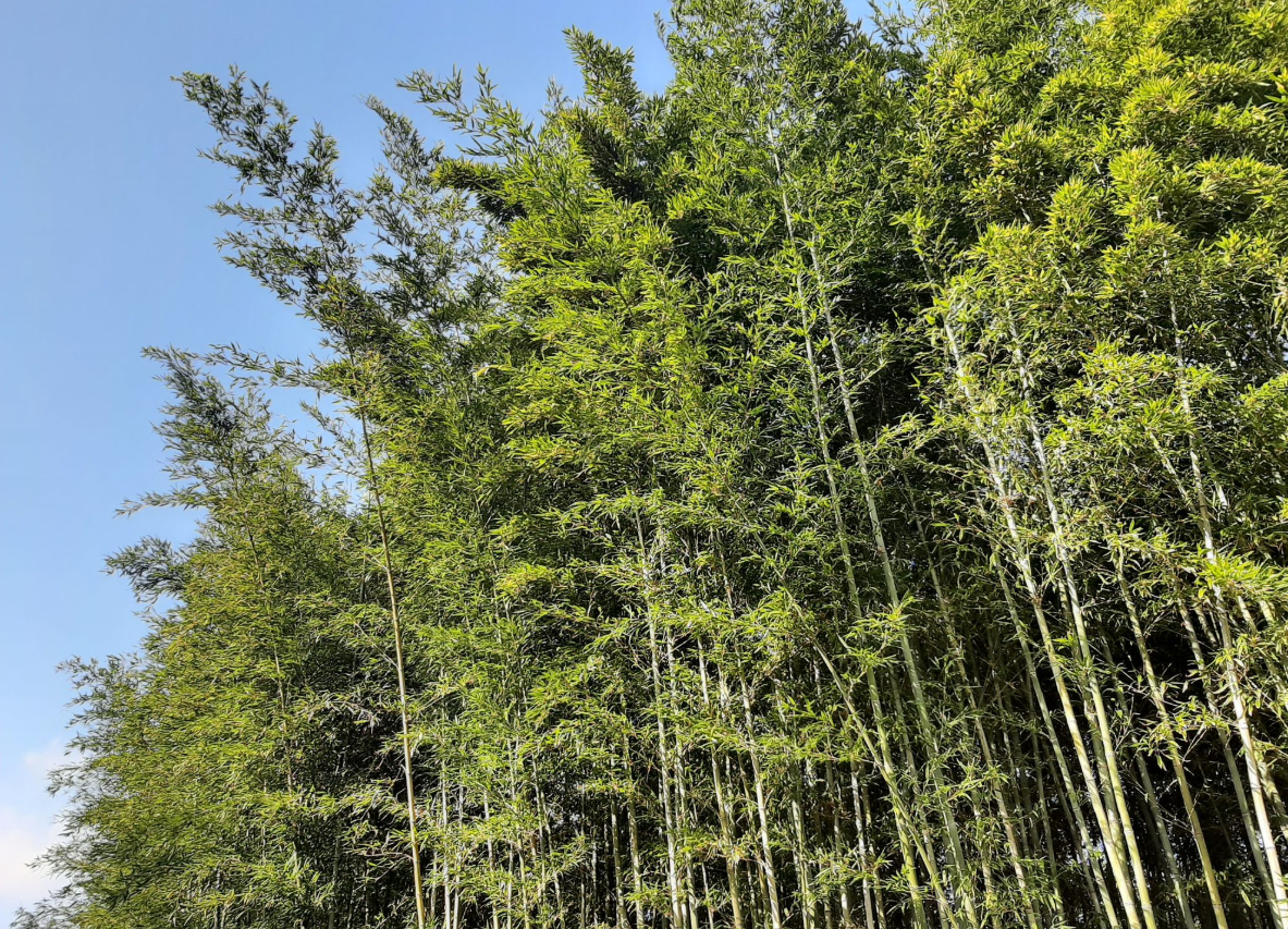 2025-11-08 13;19;08_.png