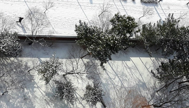 2026-01-16 15;35;02_.png