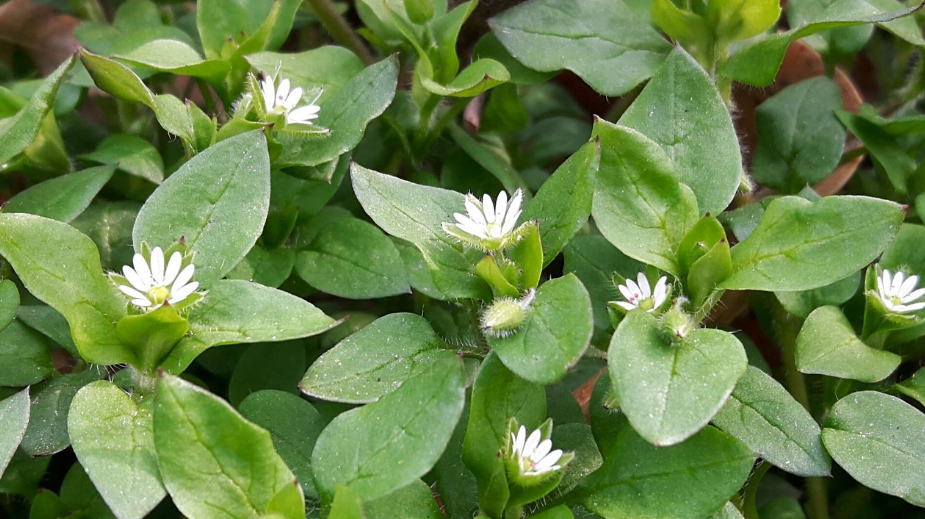 2025-04-08 15;13;52_.png