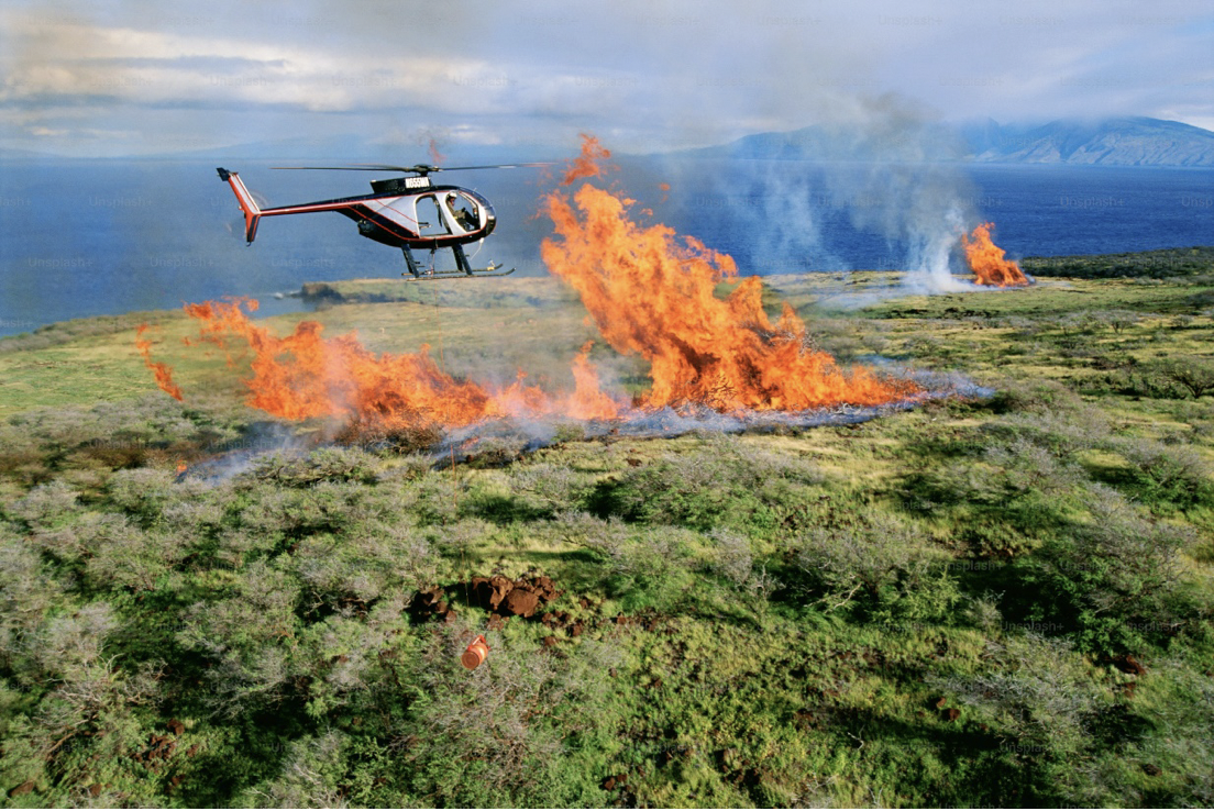 Screenshot 2024-11-08 at 11.24.42 AM.png