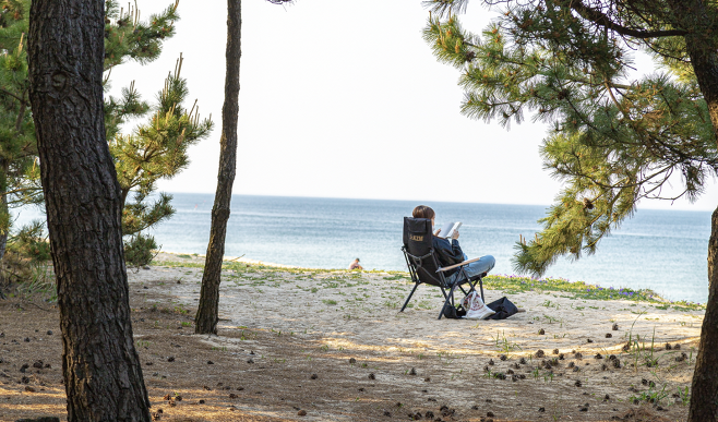 재택근무 MZ 세대.png