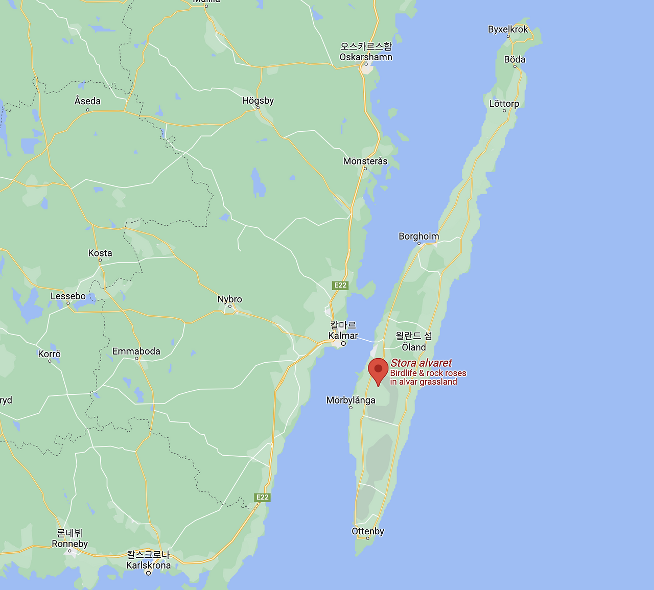 Screen Shot 2022-10-18 at 12.11.52 AM.png