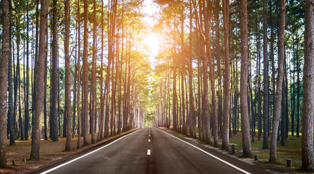 스크린샷 2025-12-07 203601.png