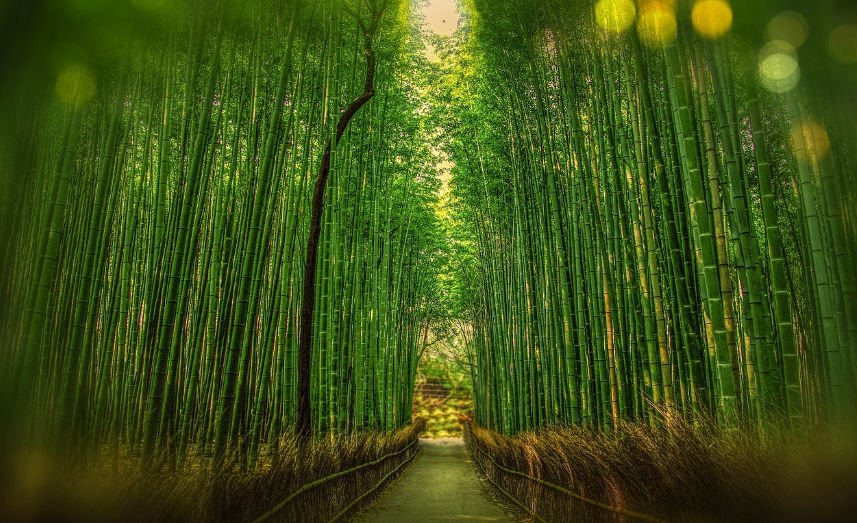 스크린샷 2024-03-27 192800.png