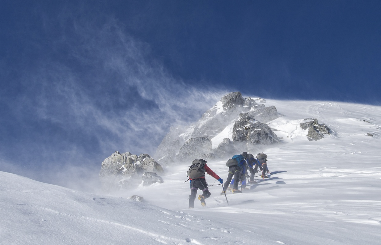 스크린샷 2024-09-16 오전 8.44.10.png