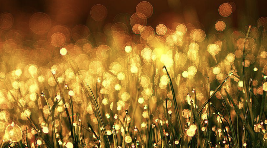 스크린샷 2022-11-22 오전 9.39.37.png