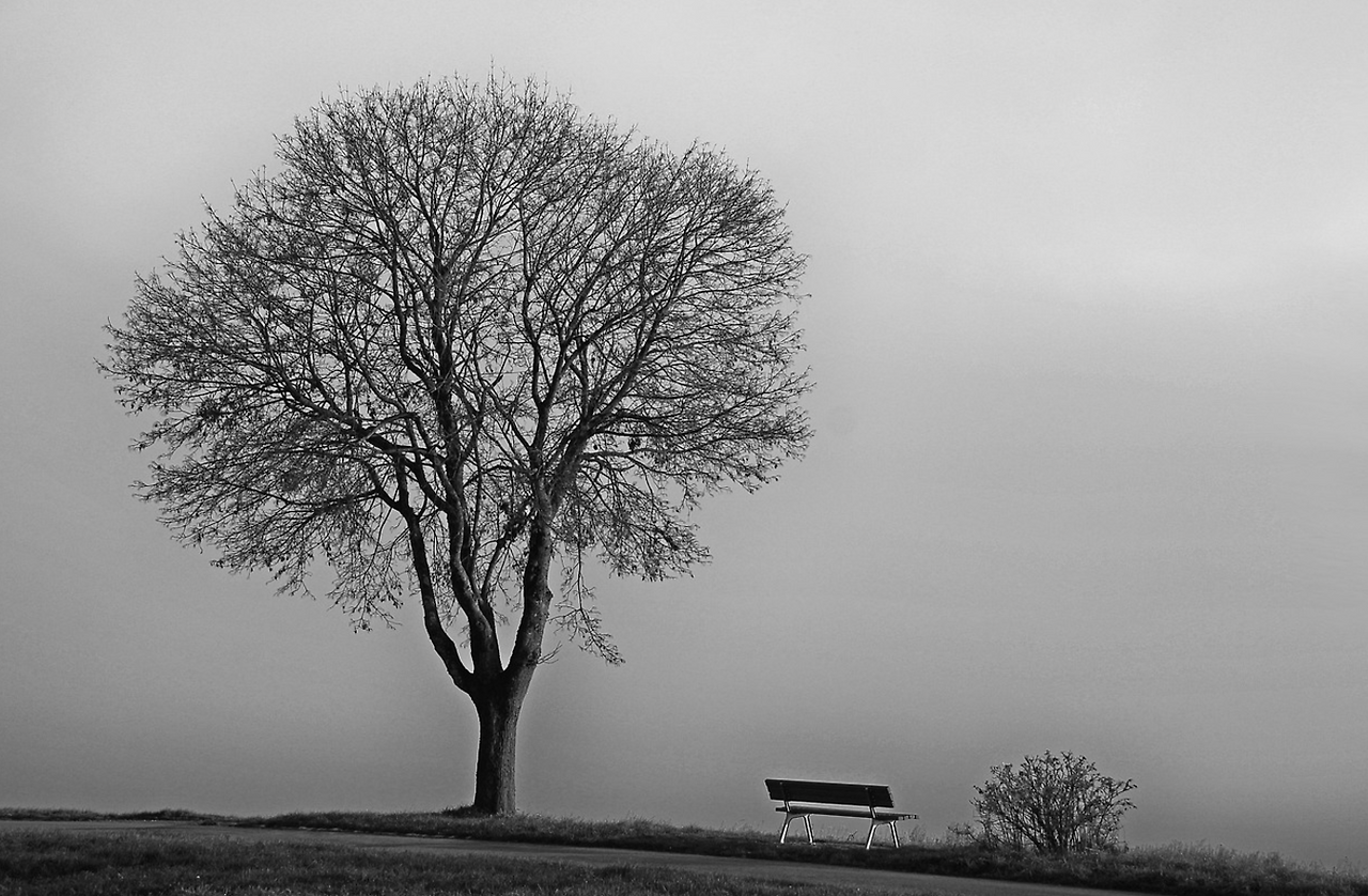 스크린샷 2024-11-19 160215.png