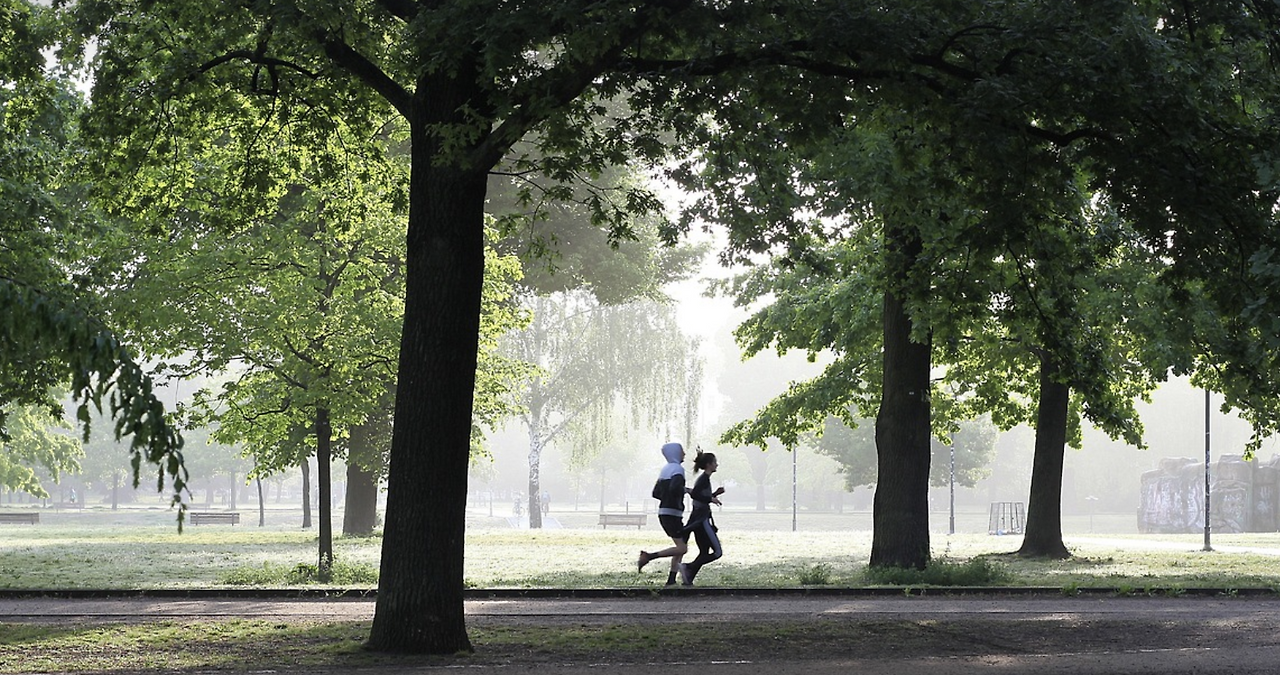 스크린샷 2023-07-05 09.18.22.png