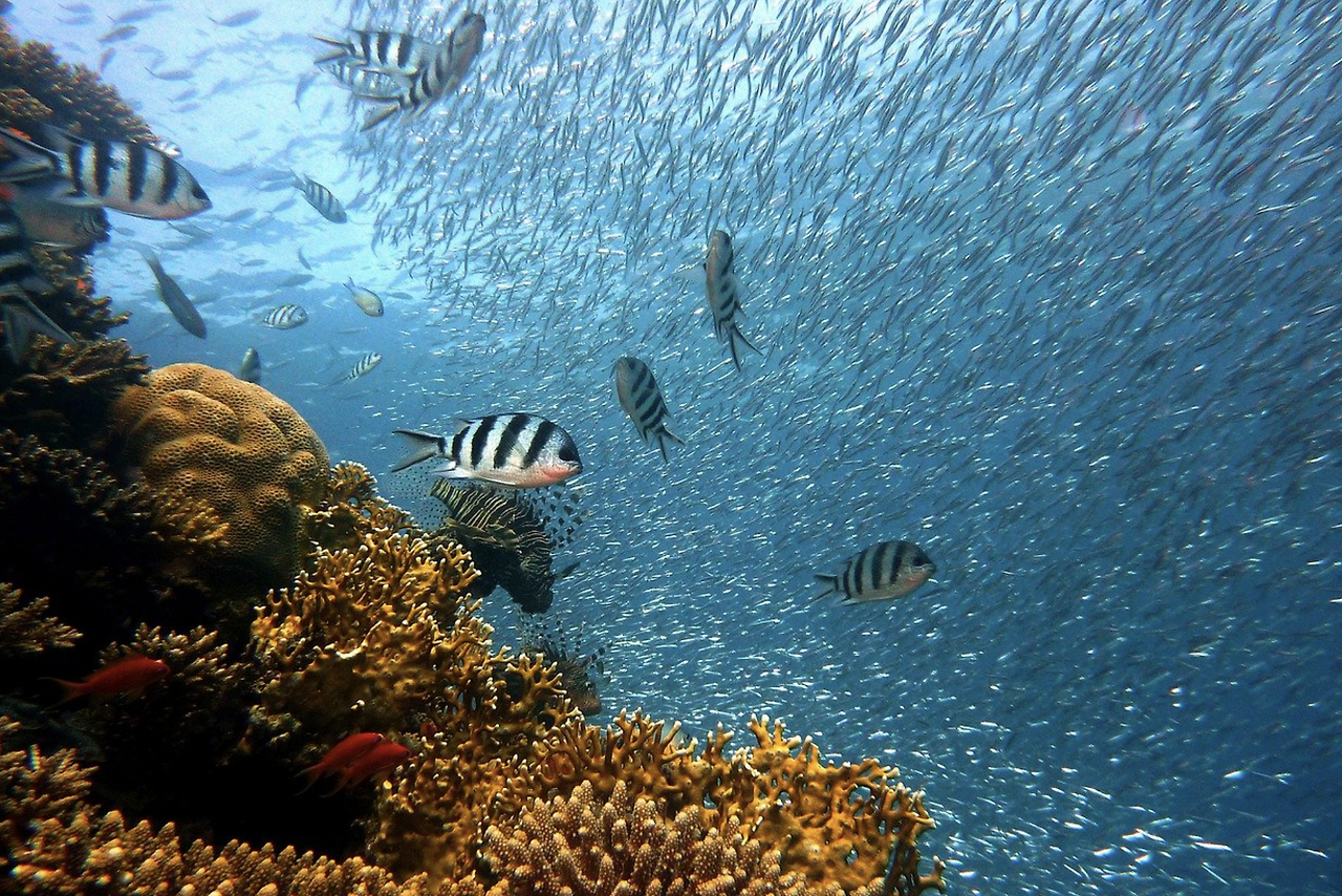 스크린샷 2022-12-02 오전 10.19.50.png