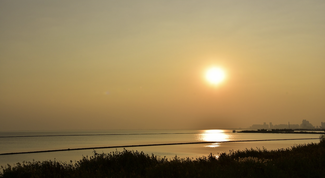 스크린샷 2022-04-18 오전 8.41.59.png