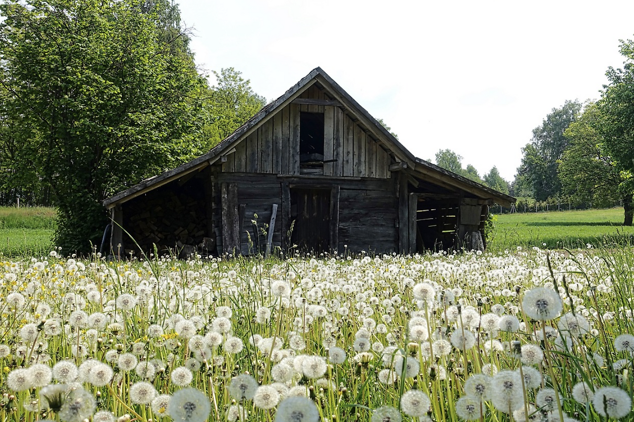 스크린샷 2023-10-04 오후 2.08.07.png