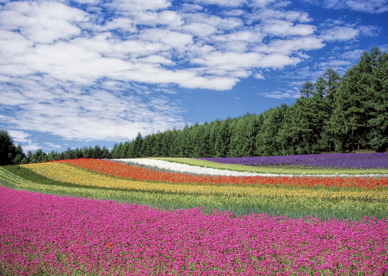 스크린샷 2023-05-10 09.13.16.png