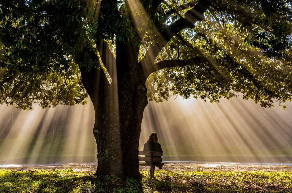 적당히는 최고의 적이다 5.png