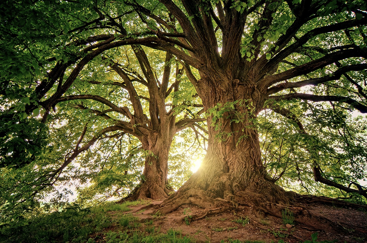 스크린샷 2024-02-07 오전 9.16.33.png