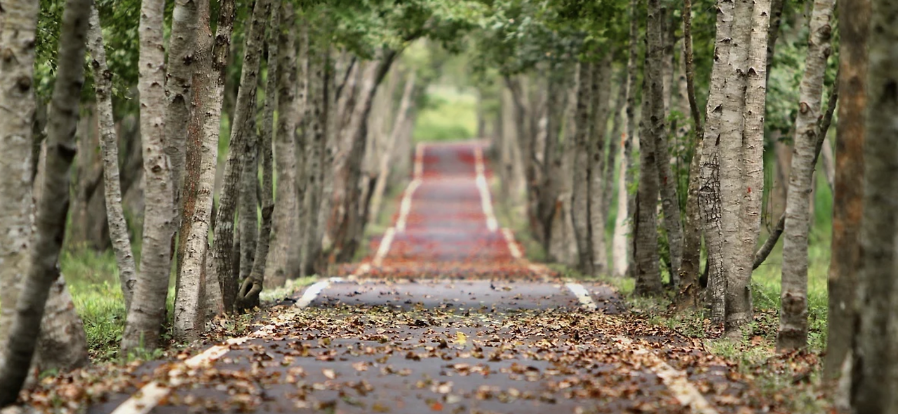 스크린샷 2022-02-22 오전 11.07.23.png