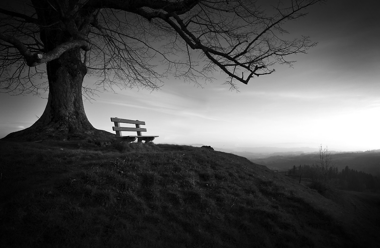 스크린샷 2024-08-31 061439.png