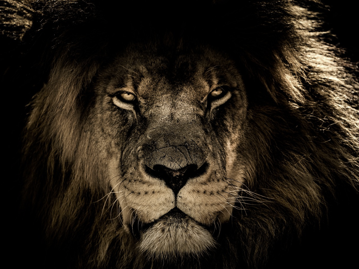 스크린샷 2024-05-05 090851.png