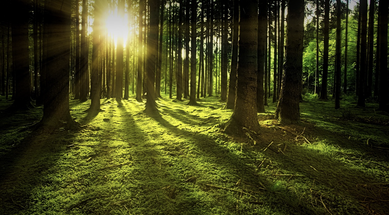 스크린샷 2023-06-12 144744.png