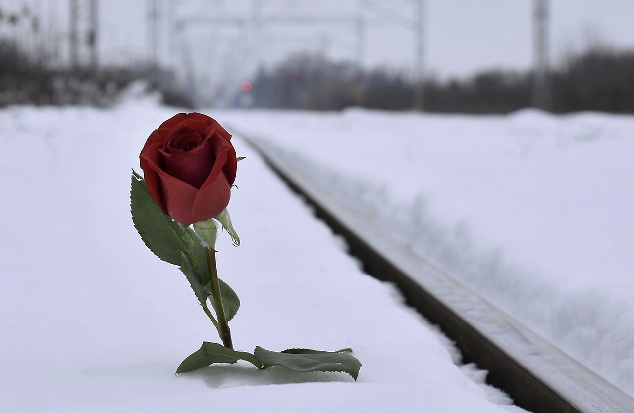 스크린샷 2024-11-18 185002.png