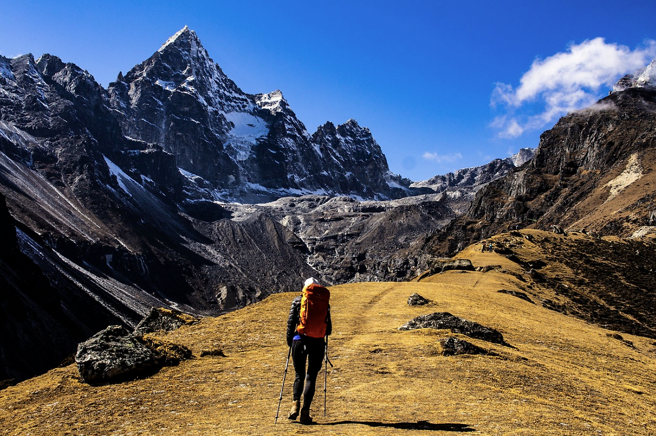 스크린샷 2024-10-15 083422.png