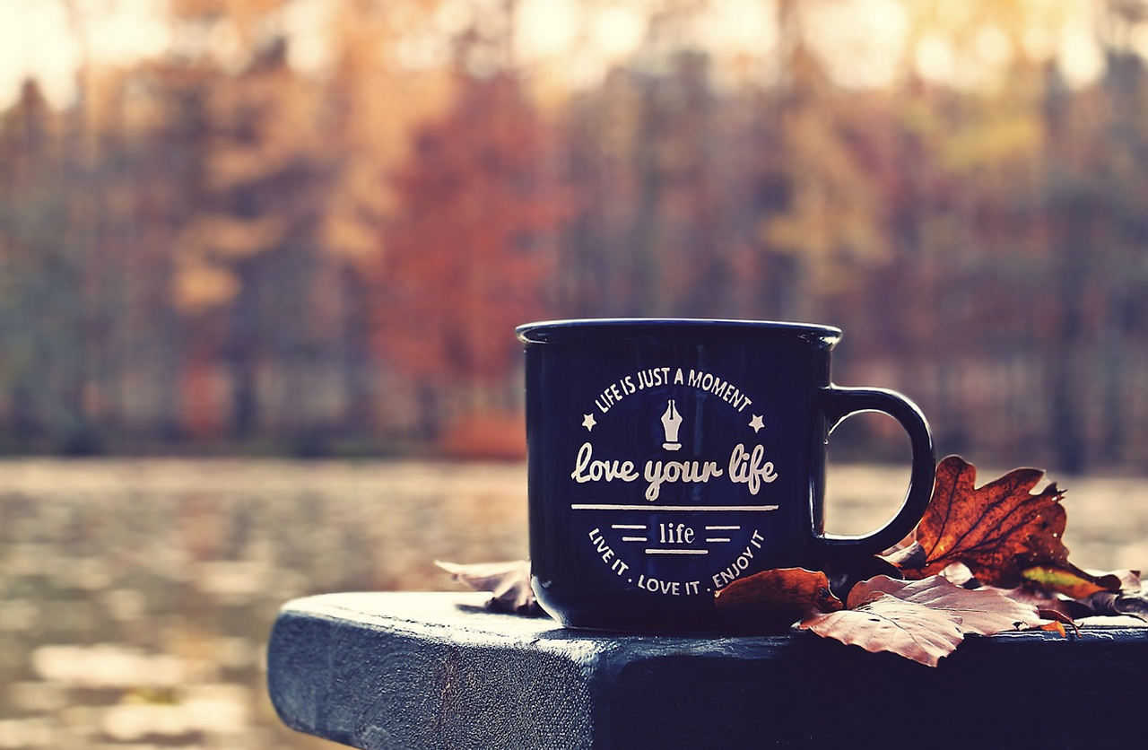 스크린샷 2023-05-10 20.28.46.png