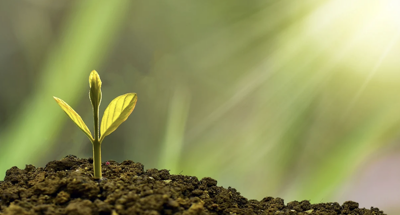 스크린샷 2022-09-30 오전 8.21.56.png