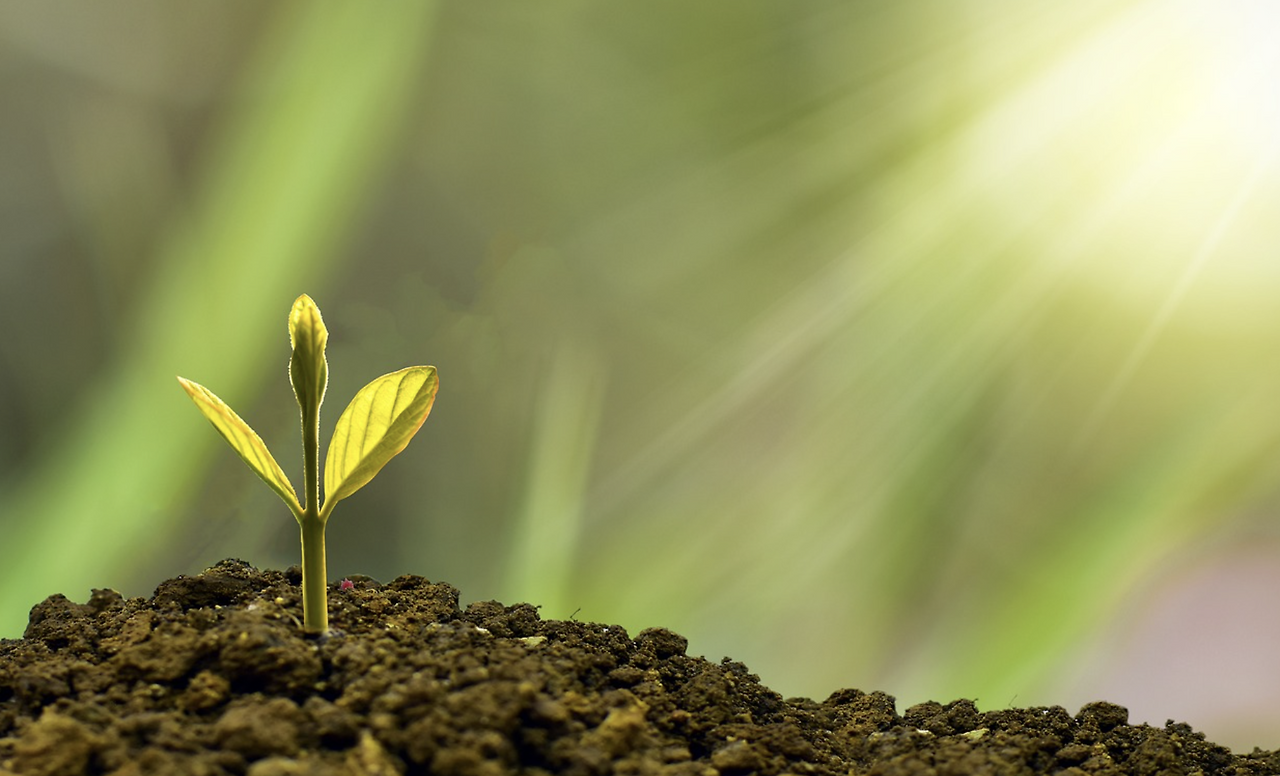 스크린샷 2023-01-06 오전 8.44.21.png