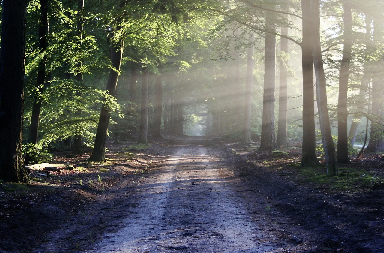 스크린샷 2023-01-01 오후 6.53.48.png