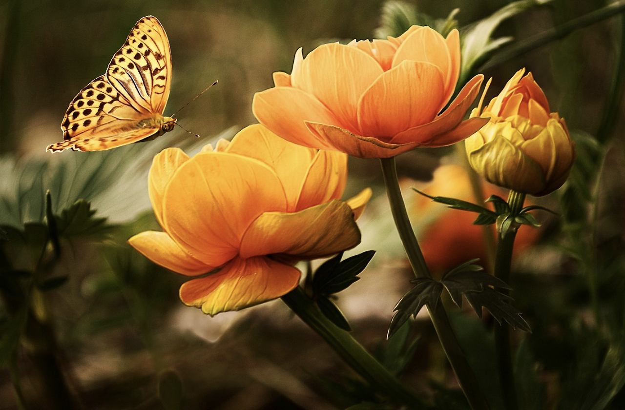 스크린샷 2023-12-18 오전 8.53.12.png