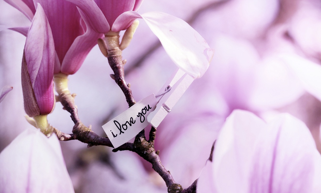 스크린샷 2023-08-20 131750.png