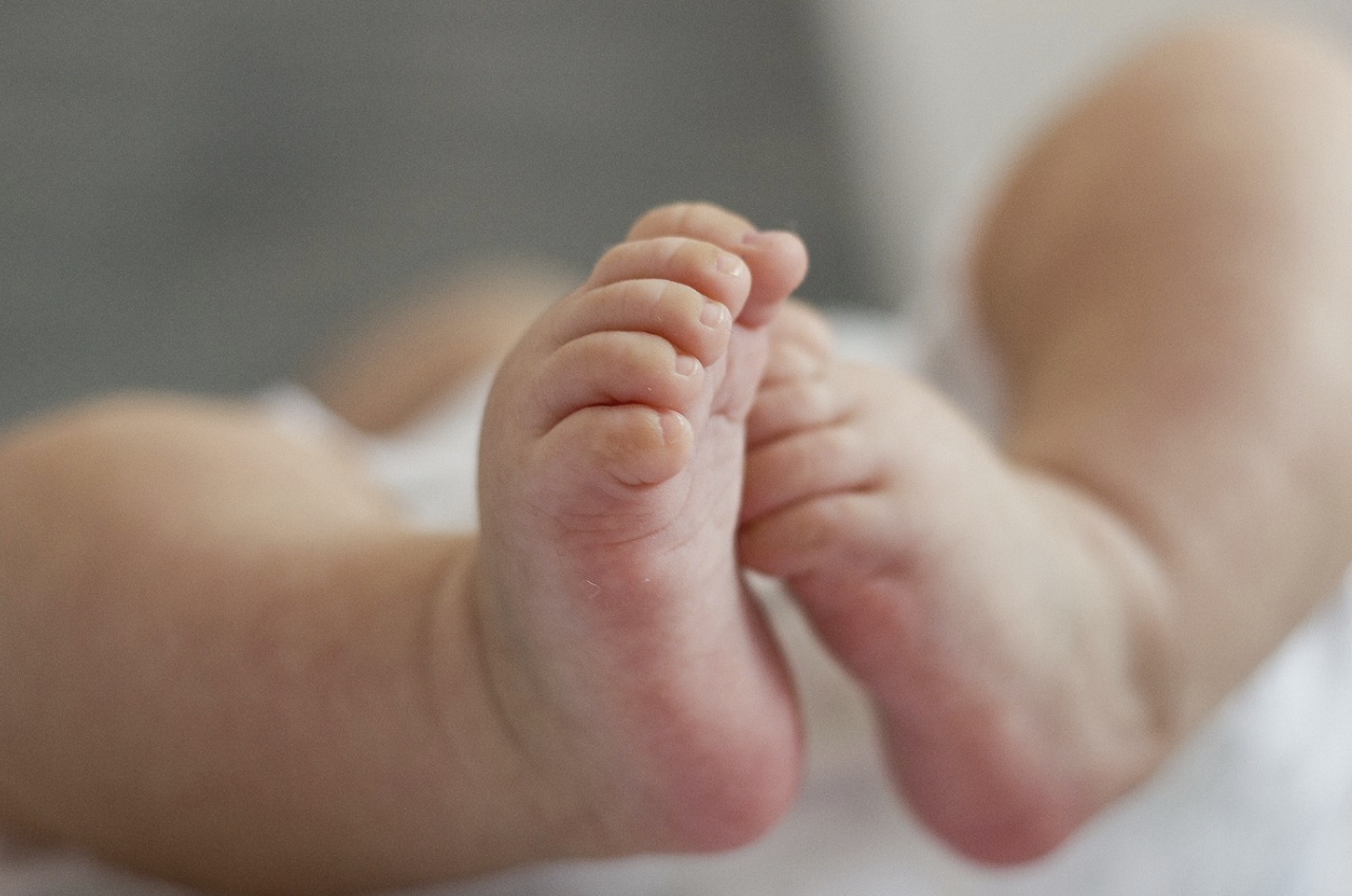 스크린샷 2023-03-29 133634.png