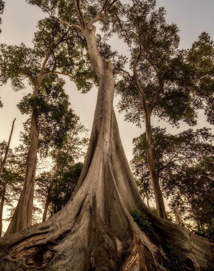 스크린샷 2025-03-16 095626.png