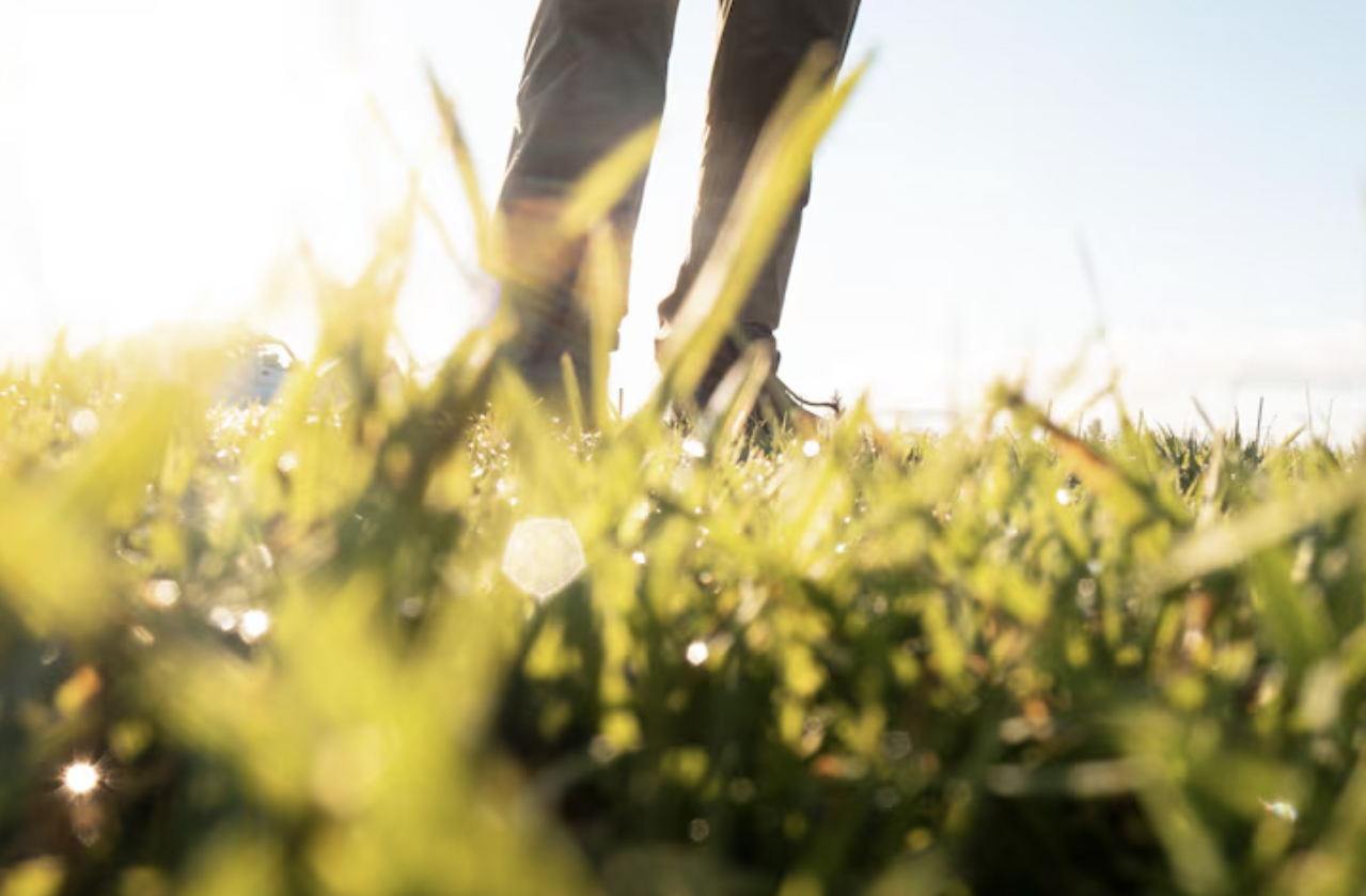 스크린샷 2025-12-22 171615.png