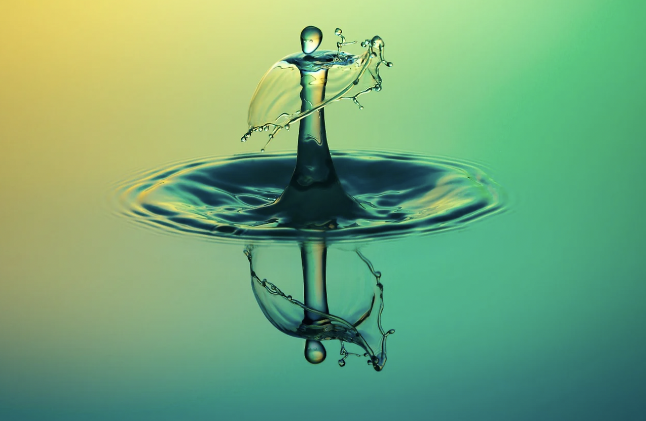 스크린샷 2022-05-03 오후 5.01.40.png