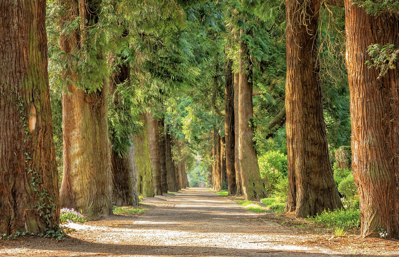 스크린샷 2022-12-27 오후 11.09.57.png