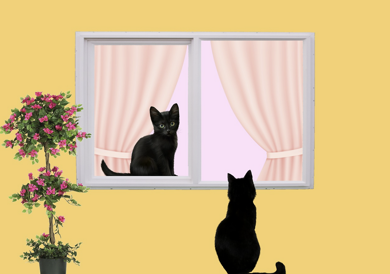 스크린샷 2023-10-24 192909.png