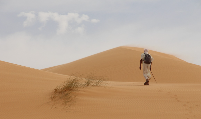 스크린샷 2024-10-06 202553.png