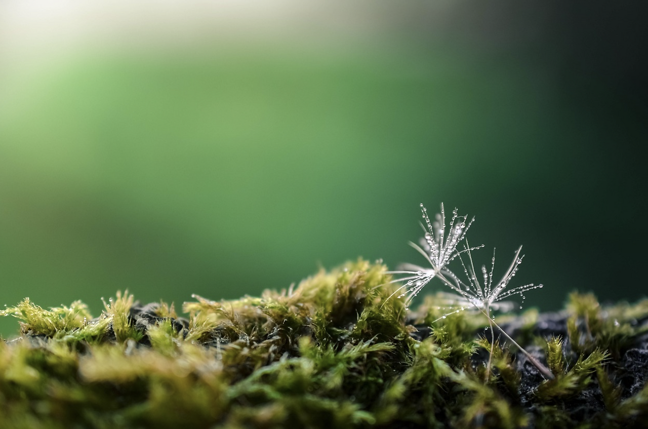 스크린샷 2023-03-15 091522.png