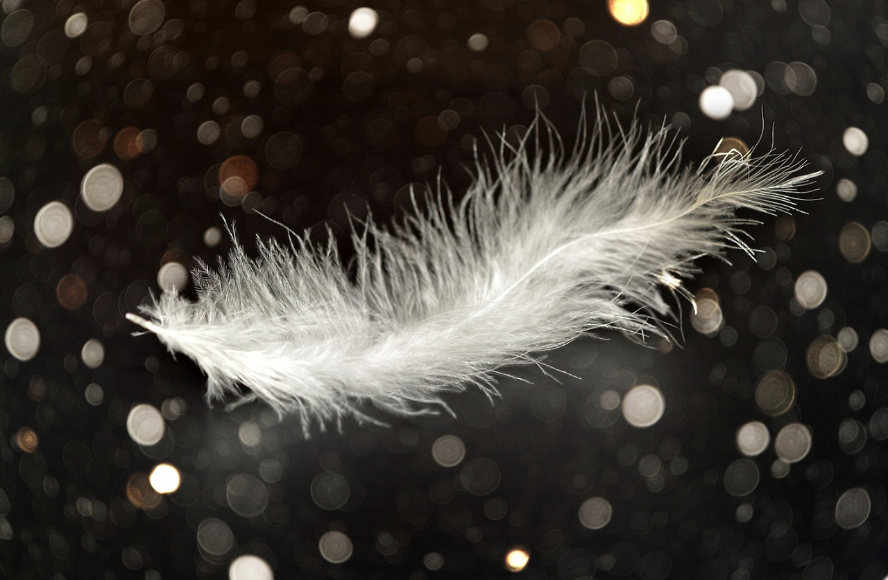 스크린샷 2024-11-22 오전 11.59.09.png