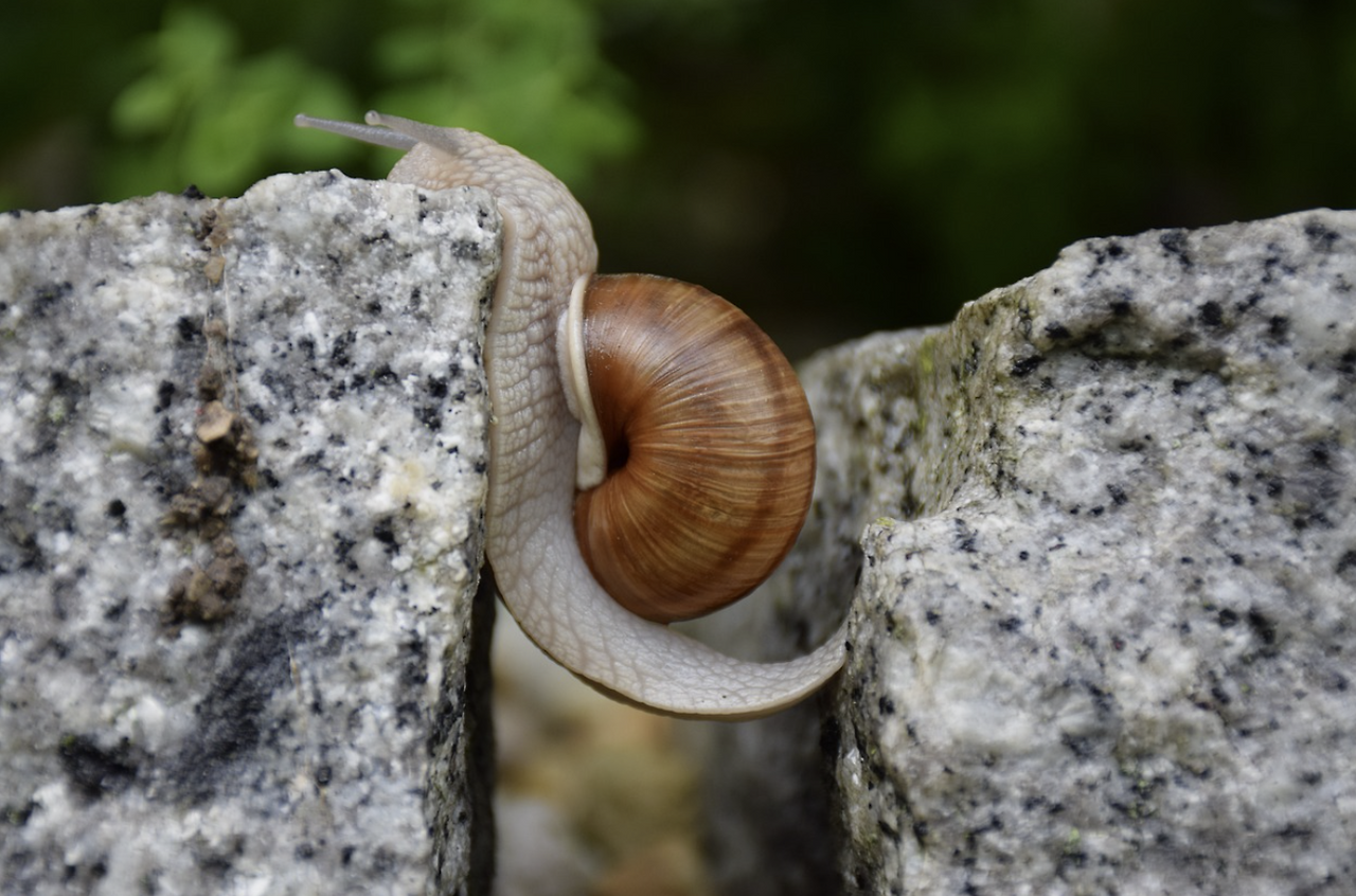 스크린샷 2024-05-28 082351.png