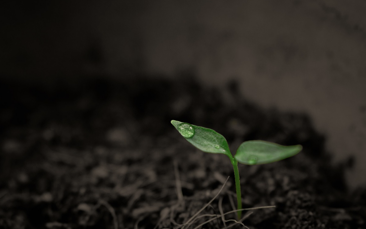 스크린샷 2023-12-19 오후 3.44.17.png