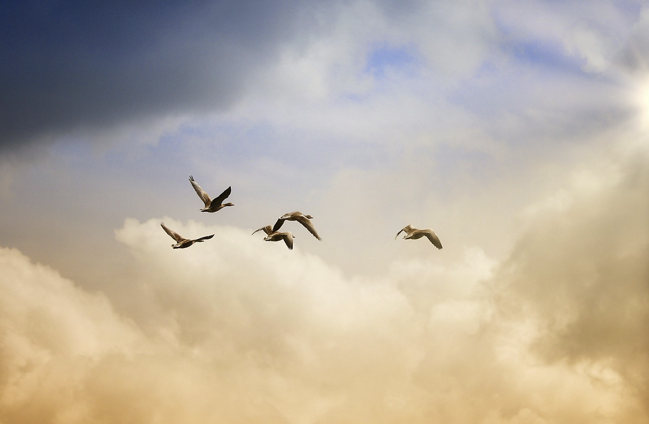 스크린샷 2025-03-08 190432.png