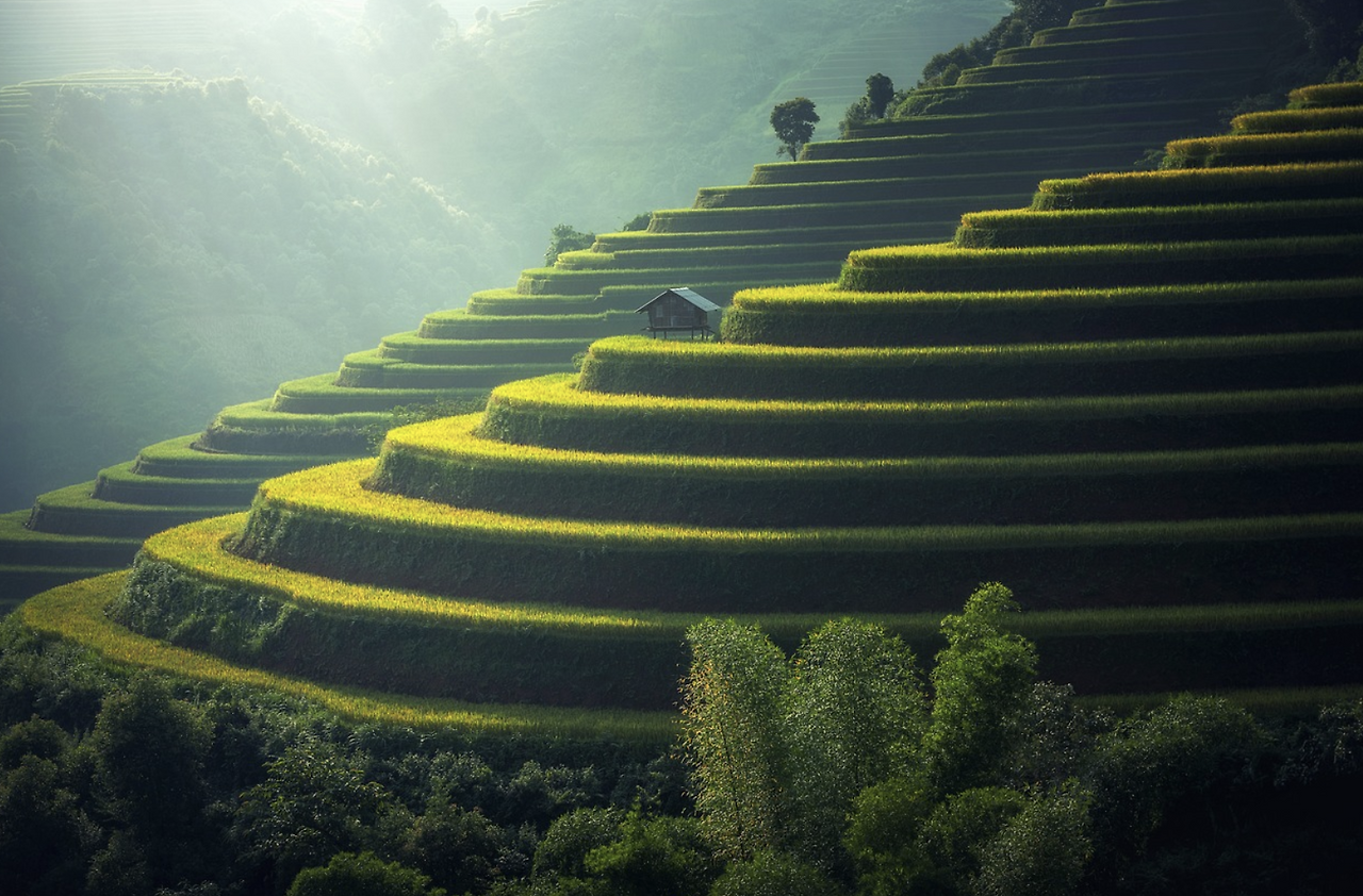 스크린샷 2023-05-28 08.11.14.png