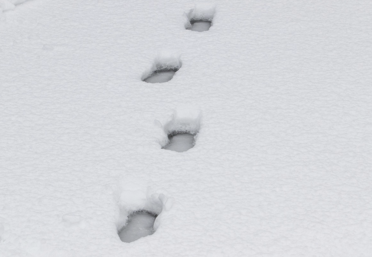 스크린샷 2024-04-23 083558.png