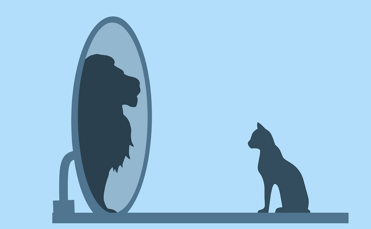 스크린샷 2024-09-09 200729.png