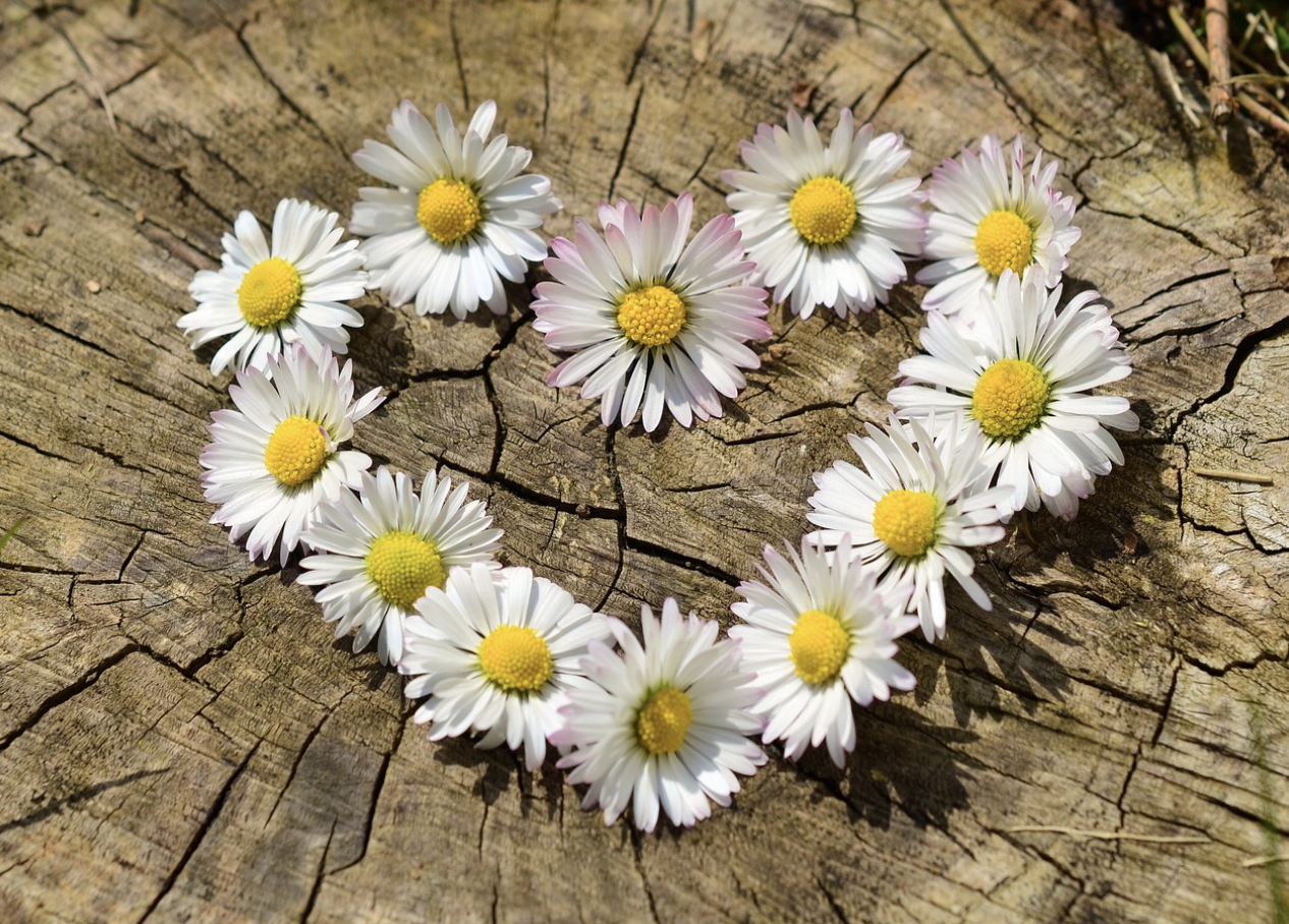 스크린샷 2023-11-21 오전 11.23.35.png