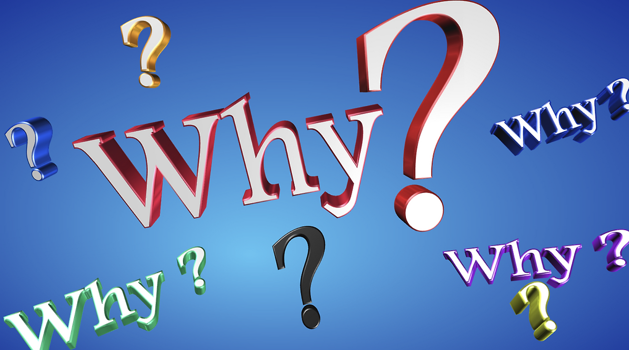 스크린샷 2024-05-06 오후 12.59.27.png