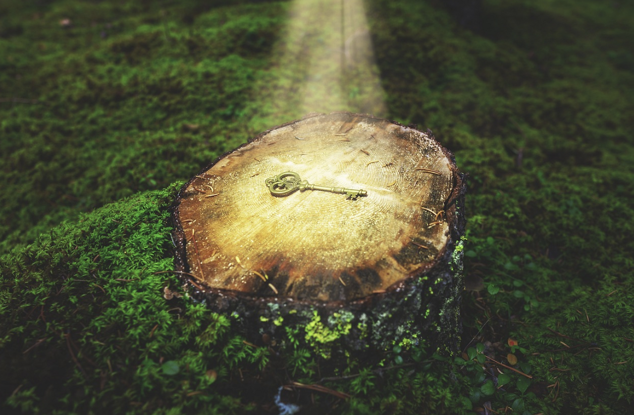 스크린샷 2023-10-12 085158.png