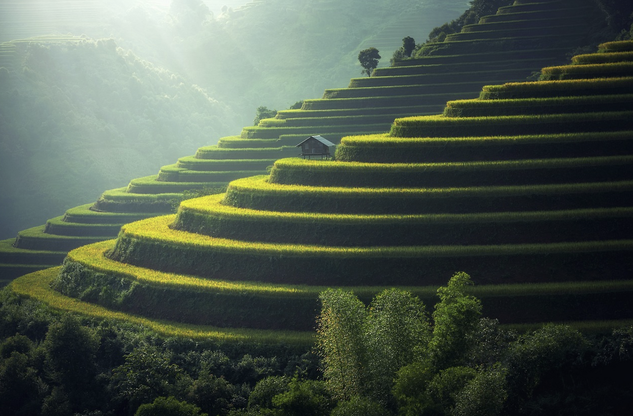 스크린샷 2023-05-05 082521.png