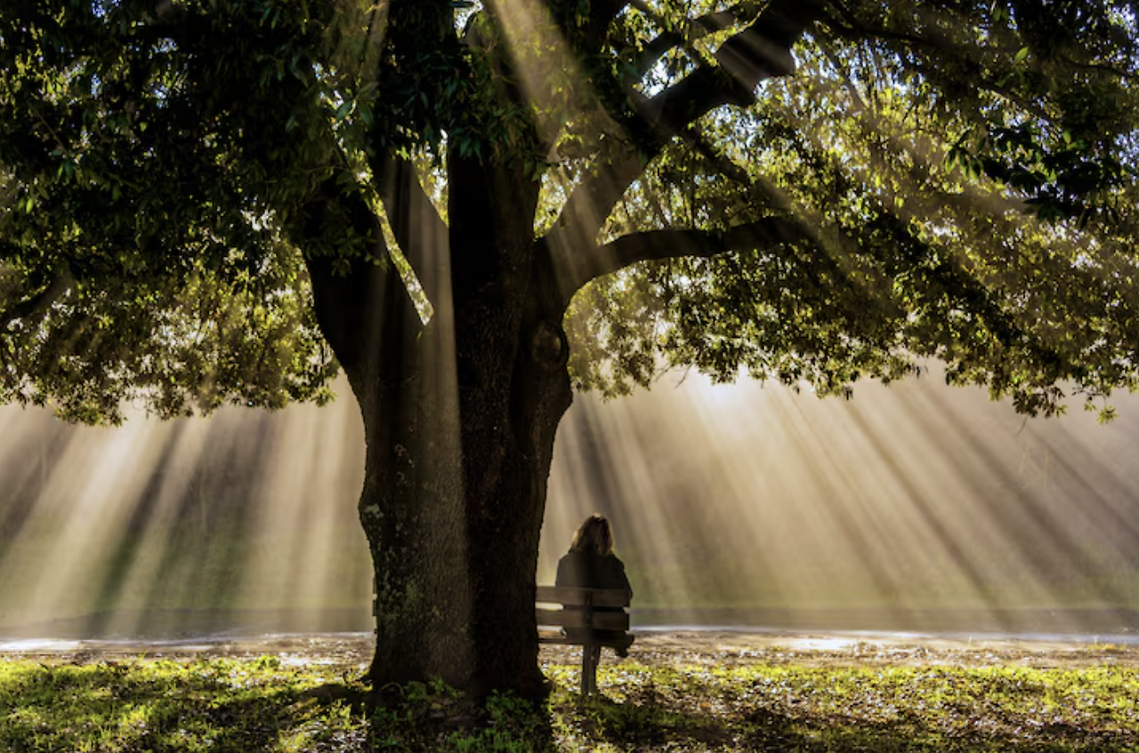 스크린샷 2025-10-26 134016.png